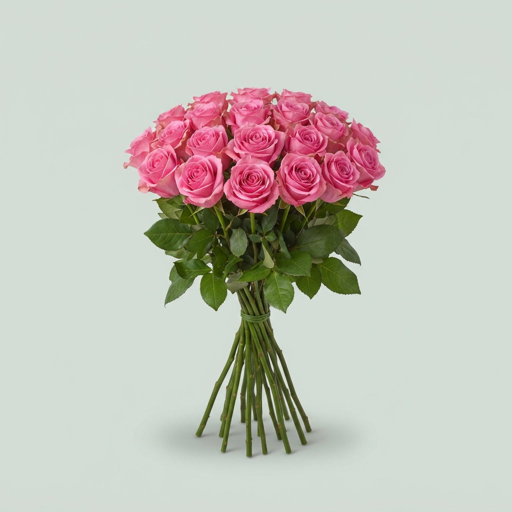 Rose - Rosa - Annesley