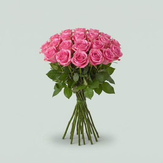 Rose - Rosa - Annesley