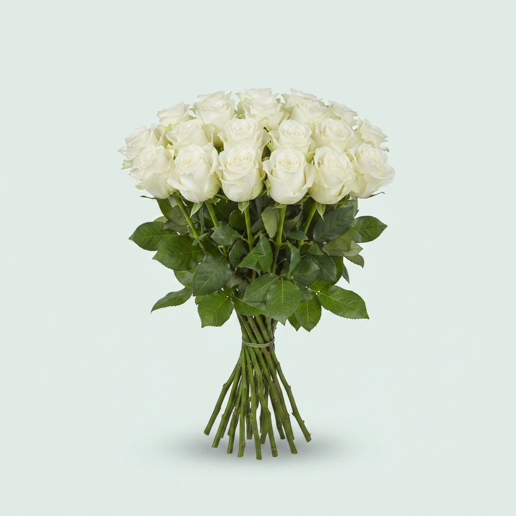 FeedSync:wholesale:f2e93461e96e2c18ca73aa13e9dfe2de8896c239