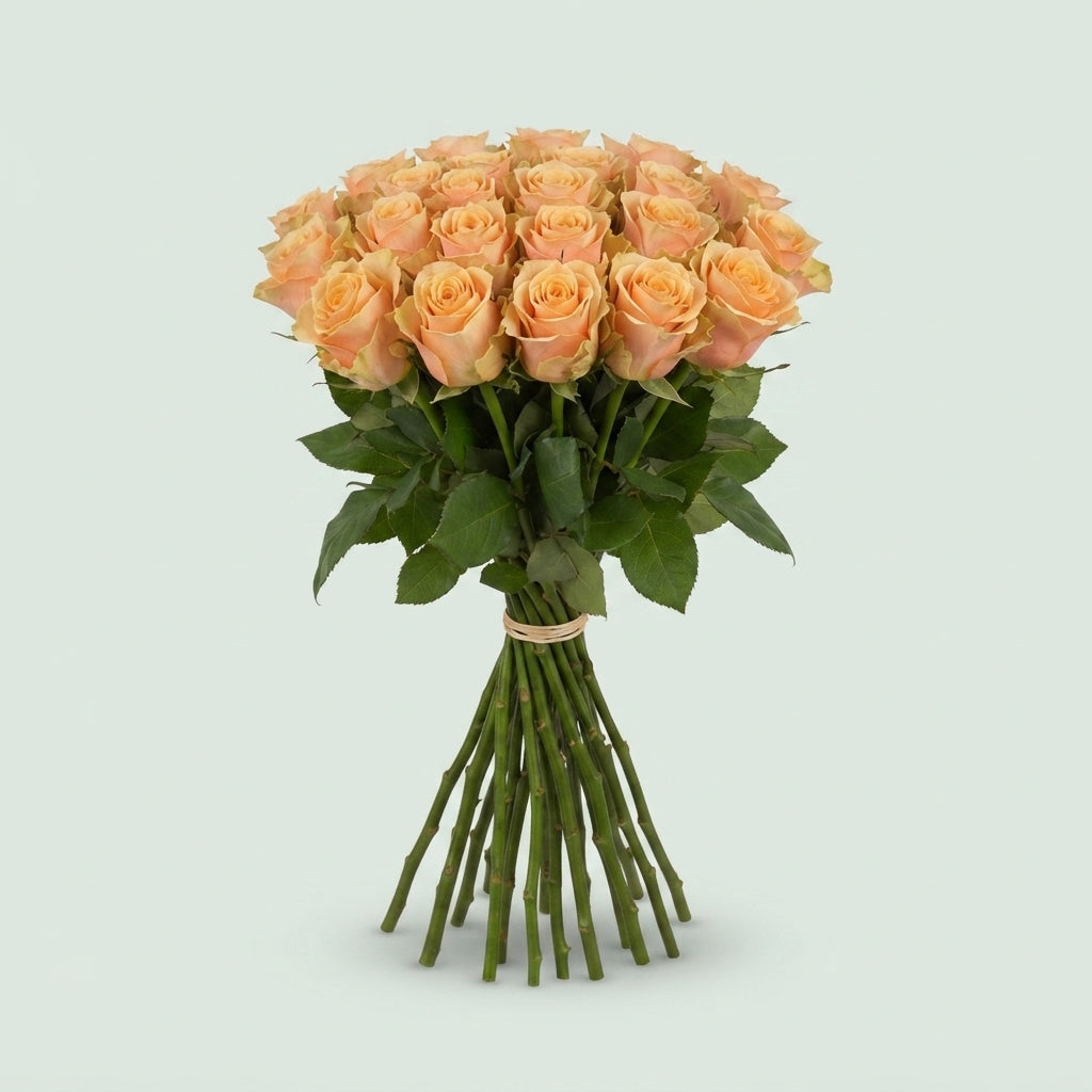 FeedSync:wholesale:7d337288ed4ca538930ff9b67152d70e0bee2792