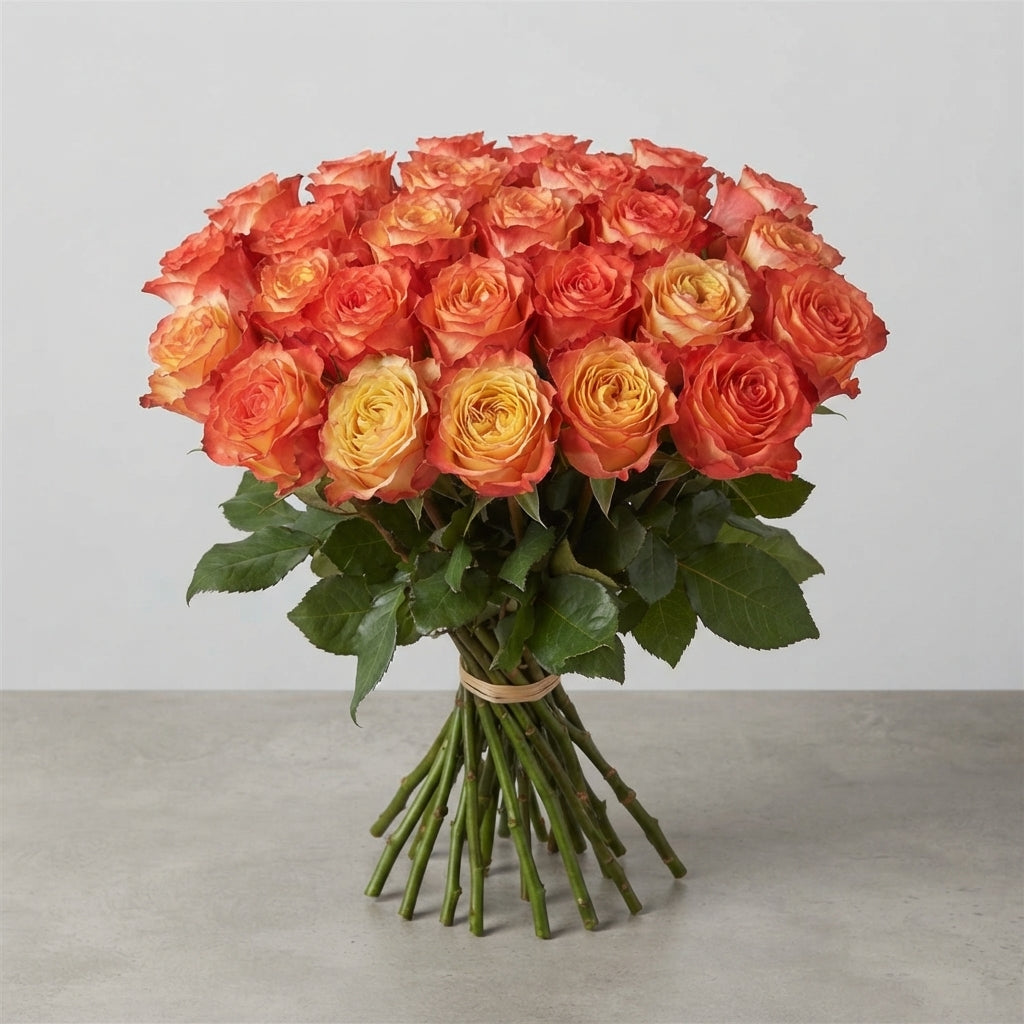FeedSync:wholesale:2b88b1f38e72e3f658a6d75be4cc37cd8ed72e1b