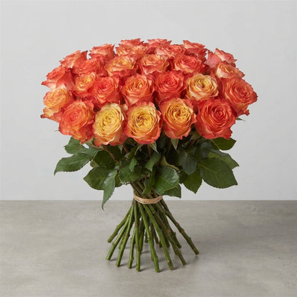 FeedSync:wholesale:2b88b1f38e72e3f658a6d75be4cc37cd8ed72e1b