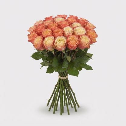 FeedSync:wholesale:44a32b015154228b6b50f051a751c960062ff7d2
