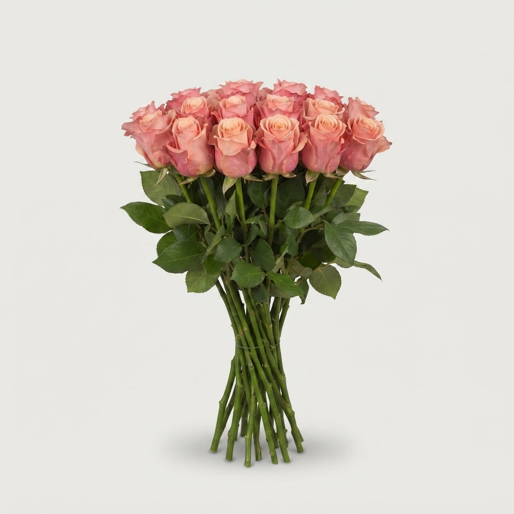 FeedSync:wholesale:13dea786f4edcb4cb70fa9046ec0896acf777e99