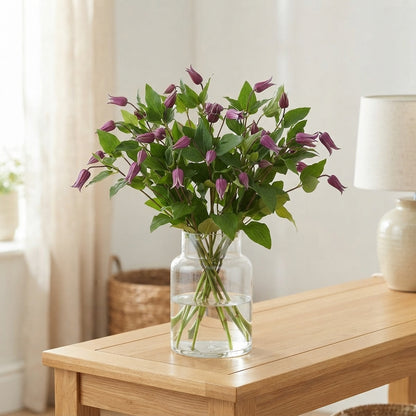 Blue Clematis ‘Amazing Rome’ – 60cm Cut Stems