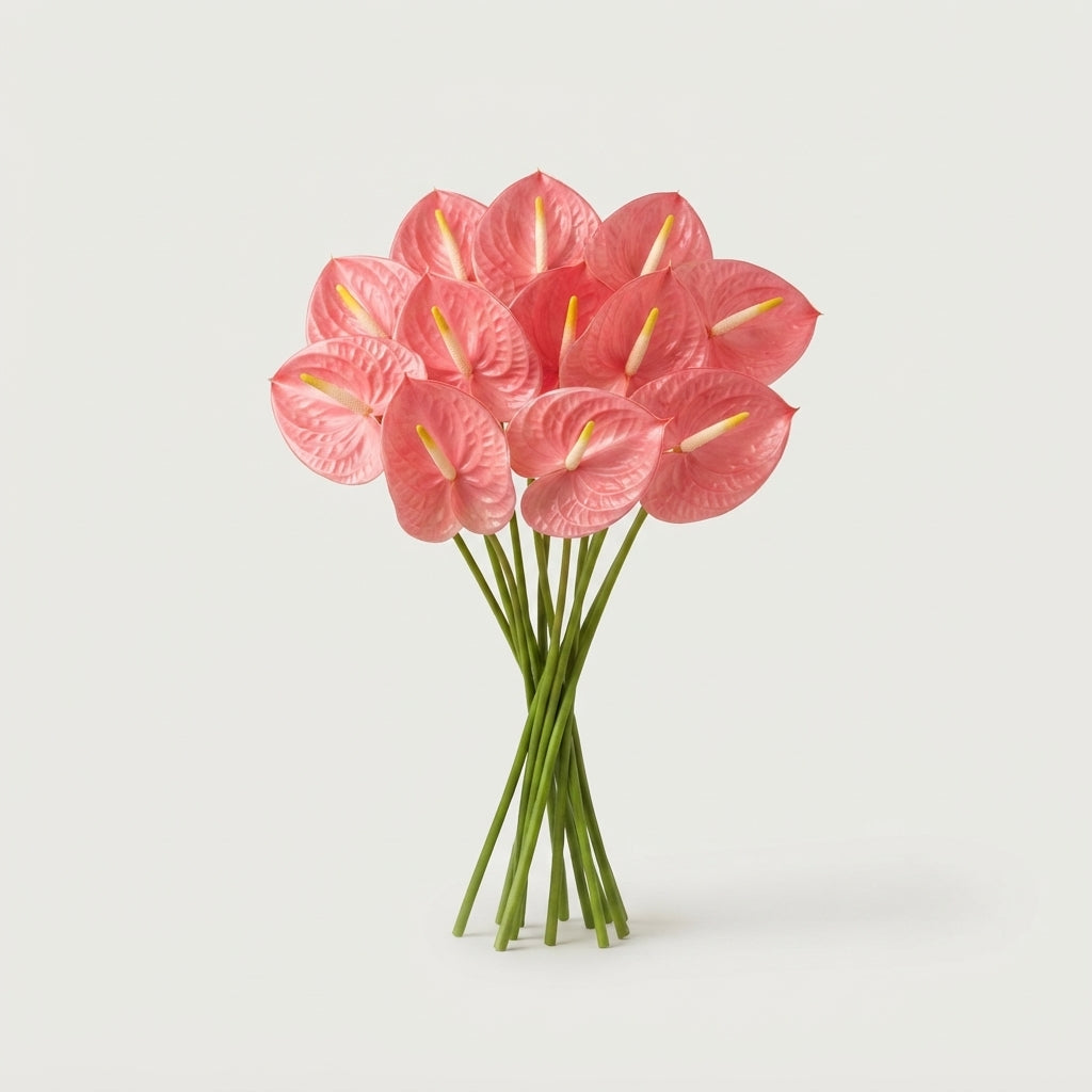 Pink Anthurium Cut Flowers – 40cm Stems