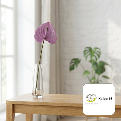 FeedSync:wholesale:ac7c9bd5bb7a8e57efb62335a65c85826b7d2d37
