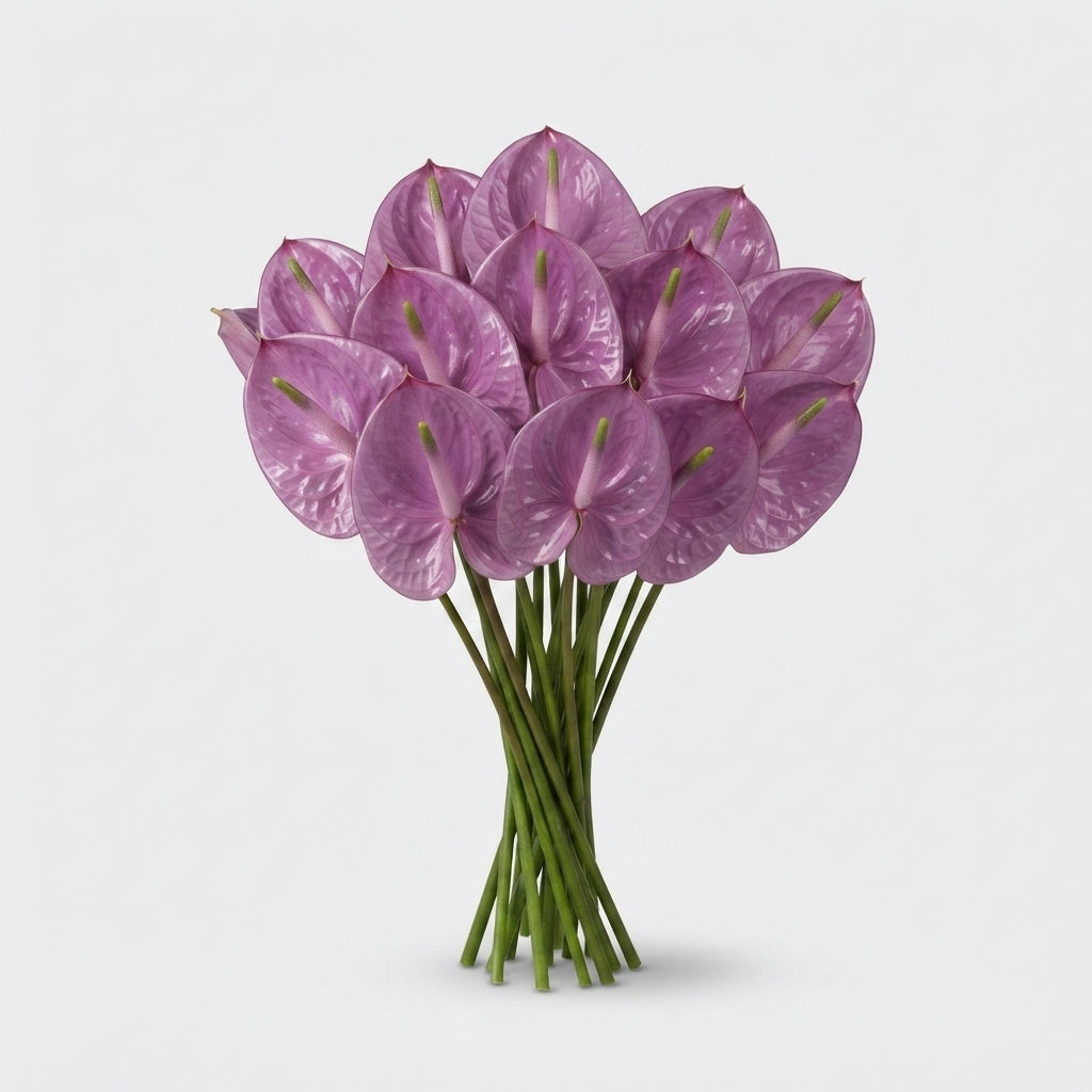 FeedSync:wholesale:9cf91484f294c8344a2bc749e5f430a91d96875b