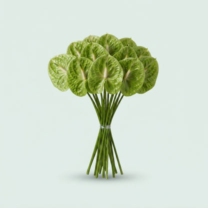 FeedSync:wholesale:7afe7b15f7e4696f482f461575ac473f0e748642