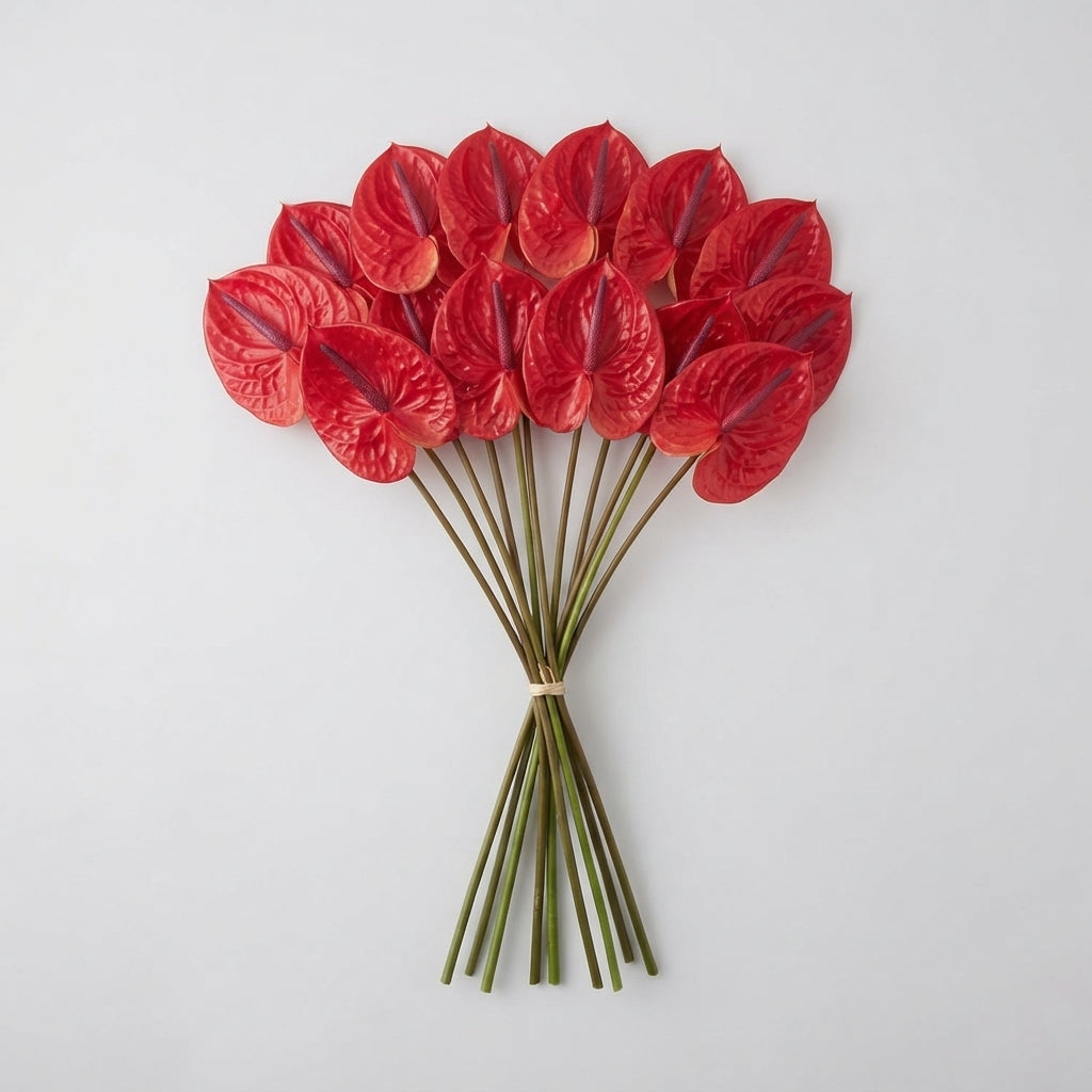 Red Anthurium ‘Enjoy’ Cut Flowers – 40cm Stems