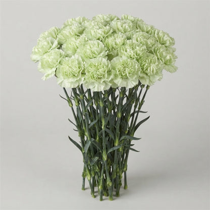 FeedSync:wholesale:5d4c98d5b0fc5d1464468086ca2b6edc95c22f9a