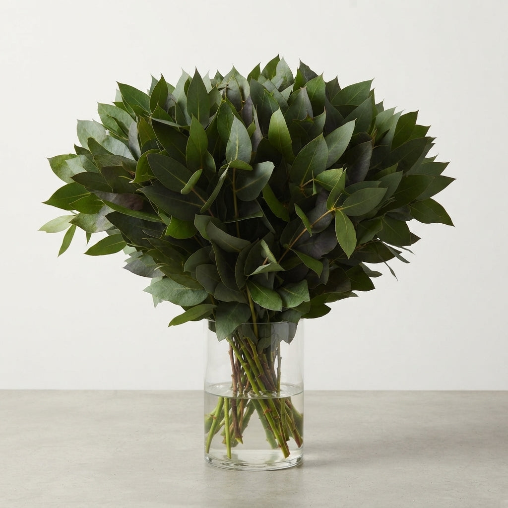FeedSync:wholesale:4713f1275abe06c87d1e0d824d8927242371559f