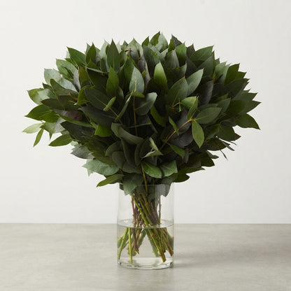 FeedSync:wholesale:4713f1275abe06c87d1e0d824d8927242371559f
