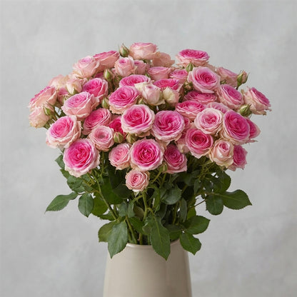 FeedSync:wholesale:ddca9ef38e4204066823c9c46e51a54942022e44