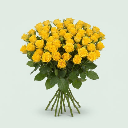 FeedSync:wholesale:800c1f28216a5e8b2deaf4715511009ad8a5d4d6
