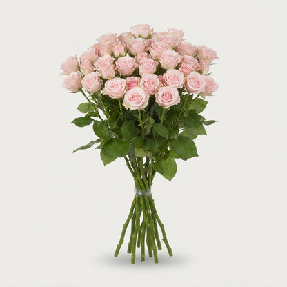 Spray Rose - Rosa - Lydia