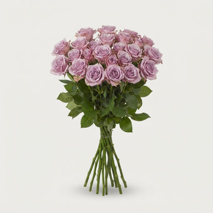 Spray Rose - Rosa - Leila