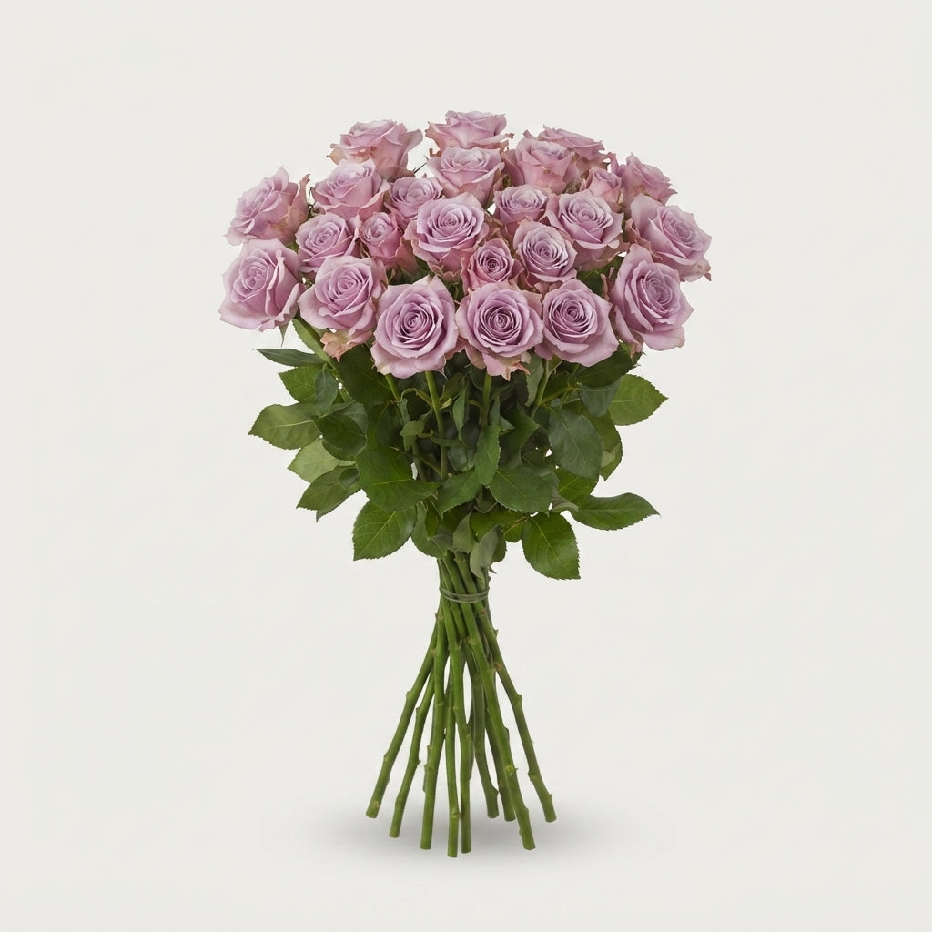 FeedSync:wholesale:6117b741c4813f38c26d13417ac458b634ea9e8e