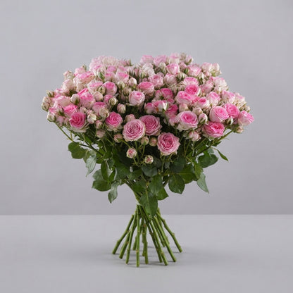 FeedSync:wholesale:2cdc5d297c9432baa09edccc09adac16b9455f3f
