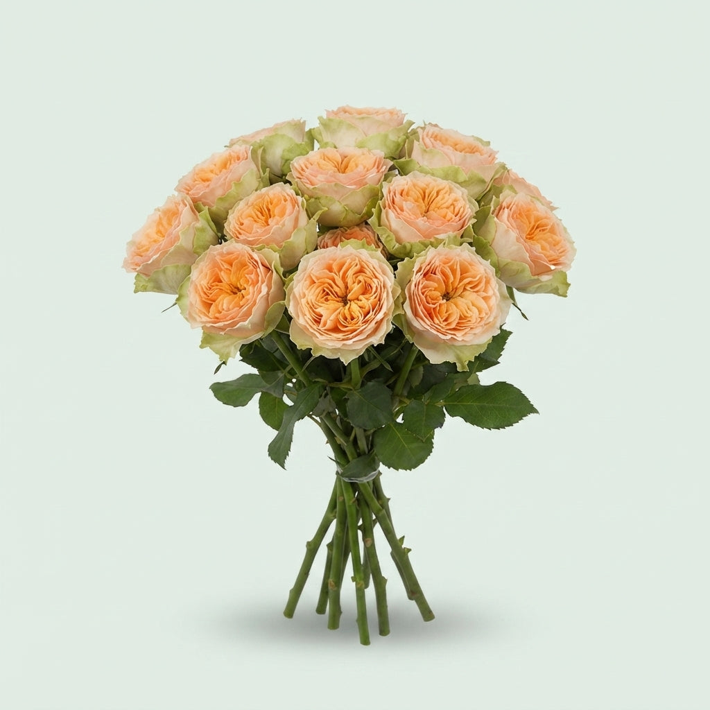 FeedSync:wholesale:973a8c27d6c2268c76ad2511ead671d8792dc5dc