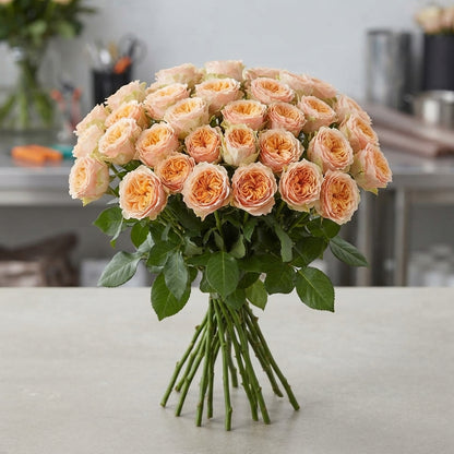 FeedSync:wholesale:2c0c4e75d4976af50a476fa8b1bd3adf39f08184