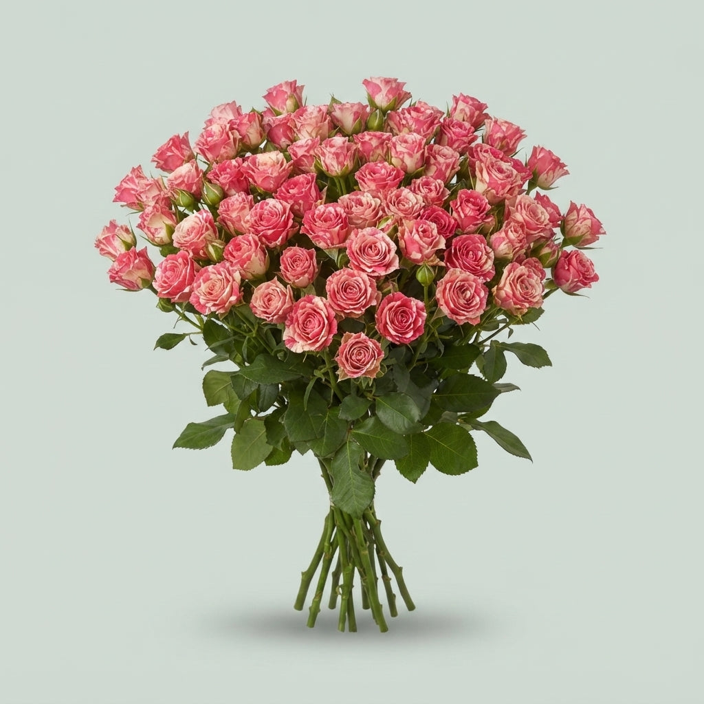 FeedSync:wholesale:9a1b05e6986c8d527c1378bd62b40759fbcd0c8f