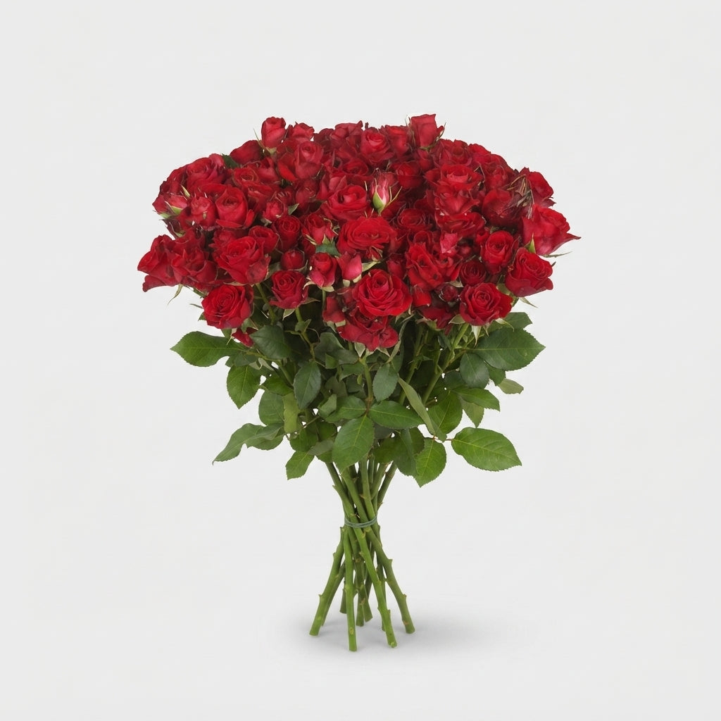 FeedSync:wholesale:2e9d31812077461122c50084501a7058a84985de