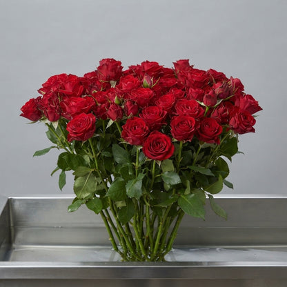 FeedSync:wholesale:f41f1cde2c949b401988fff9657b0079c5271705
