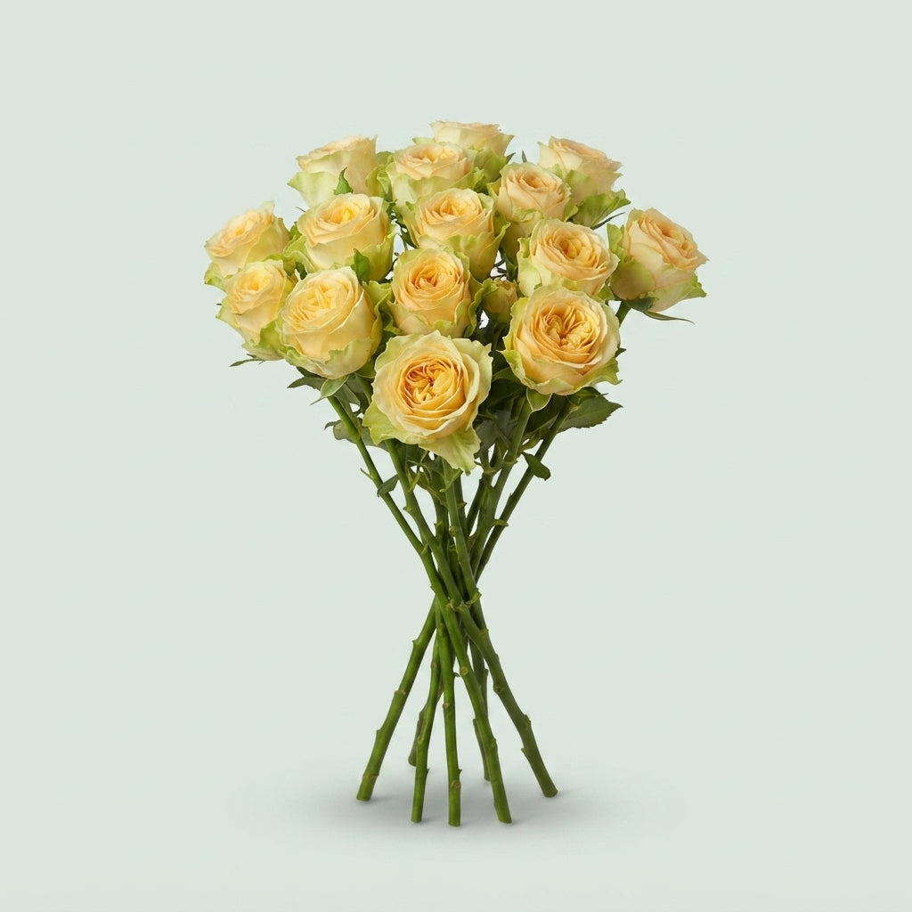 FeedSync:wholesale:635881d347b3bde363cb0f0baddf125e25b8f60d