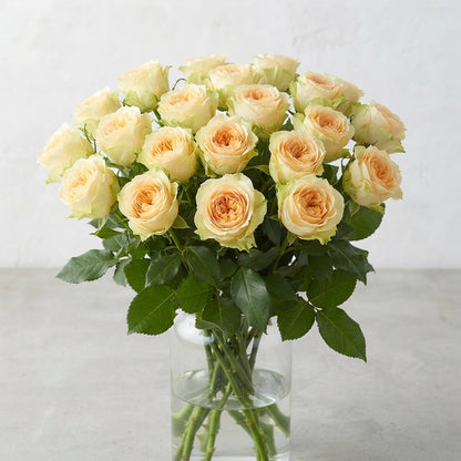 FeedSync:wholesale:6cebc07dbc2642a9d9372cb9d280c9c9eab865c3