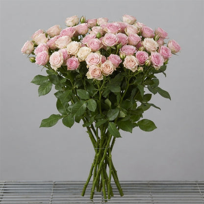 FeedSync:wholesale:43802d987b1b6dcd48ce582a4254a176b31554f4