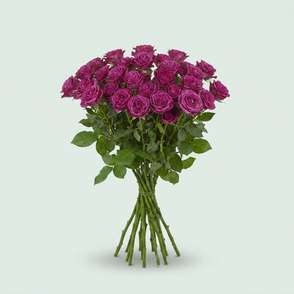 FeedSync:wholesale:31aac4ec8ccc35946df08b62f377c1ada7819a29