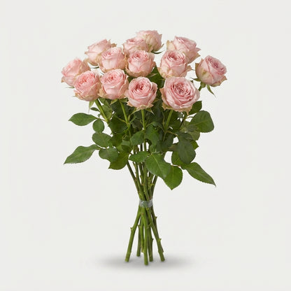 Spray Rose - Rosa - Bombastic