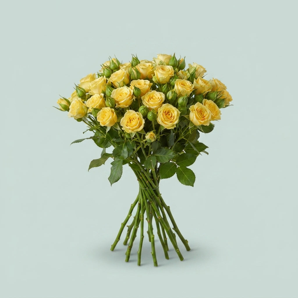 FeedSync:wholesale:b4ba19492b7ee5984bb718301c7cb0ced396c0d2