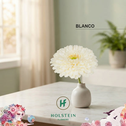 FeedSync:wholesale:308359892cb4ec04d72af7433fa9ac7fae33d52b