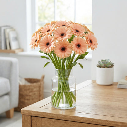 Peach Germini Cut Flowers – 40cm Stems