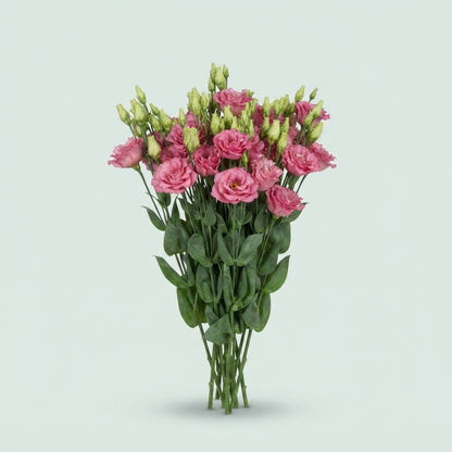 FeedSync:wholesale:3df1b6cd8b40a6fc5156ff2b130512d069537de4
