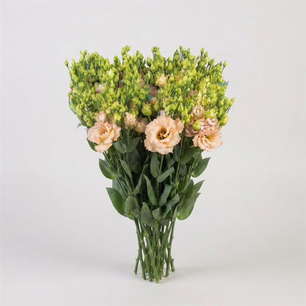 FeedSync:wholesale:cff961d55681fed659cba7045d65678bcd3a5d24