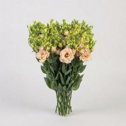 FeedSync:wholesale:cff961d55681fed659cba7045d65678bcd3a5d24
