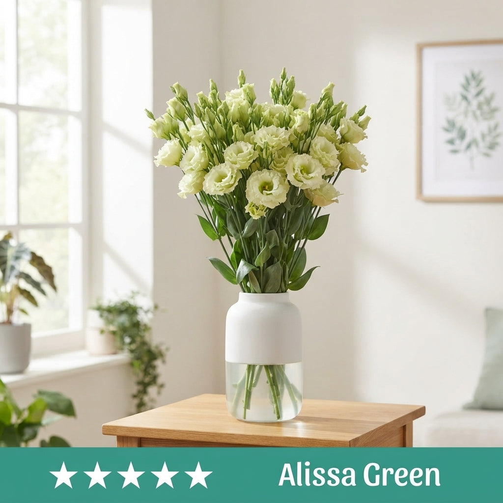 Alissa Green Lisianthus Cut Flowers – 70cm, 10 Stems