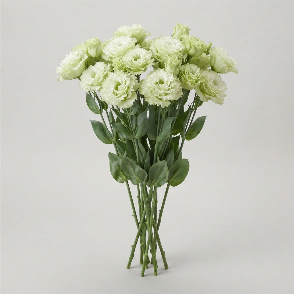 FeedSync:wholesale:70e9164df9b81052d28aa278aec5e798cfef1828