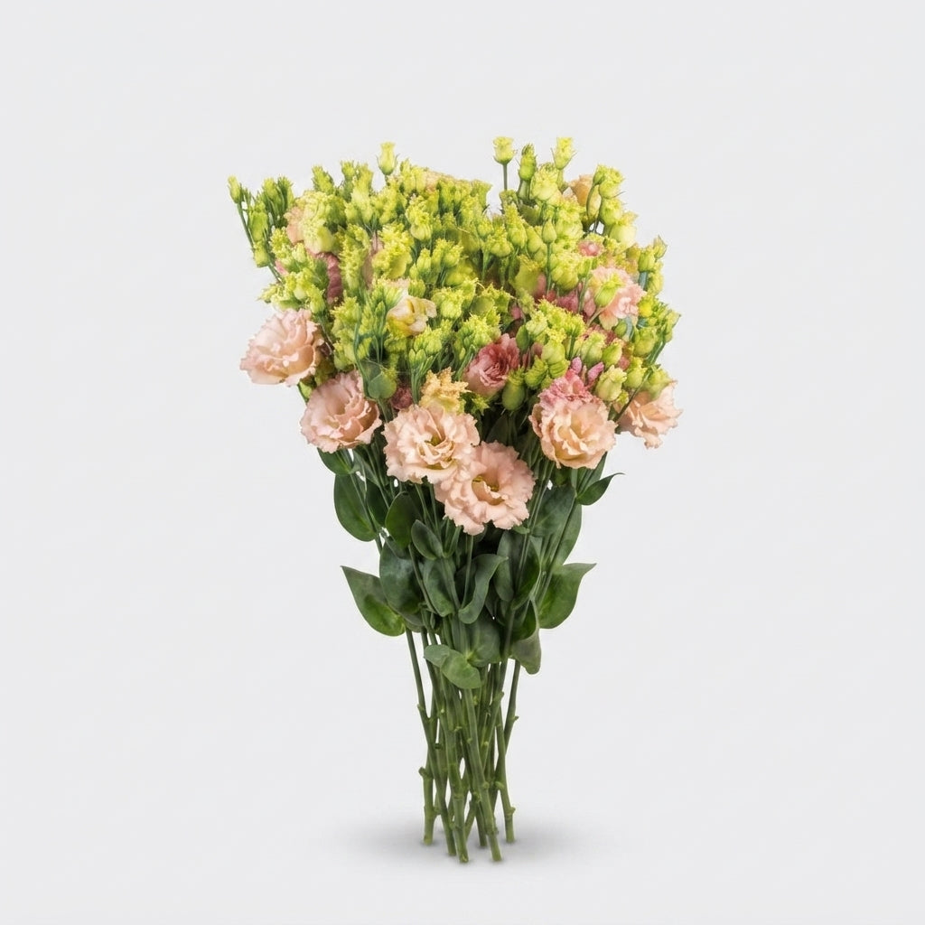FeedSync:wholesale:2d69c8558d308e46204f5c9fbdd5a7fea1216b31