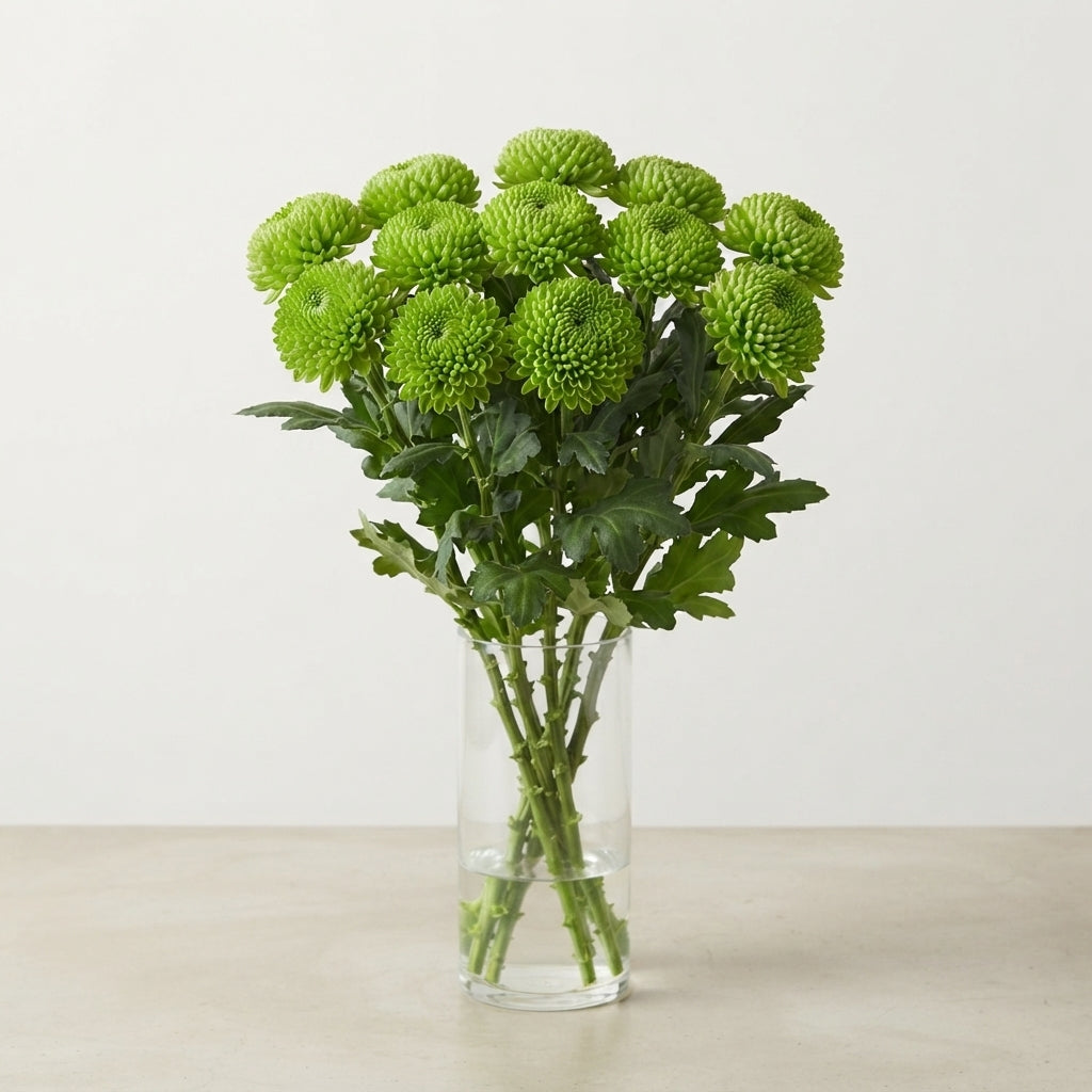 FeedSync:wholesale:50d78b5fcad4404b16acde77af83dc9f64b05360