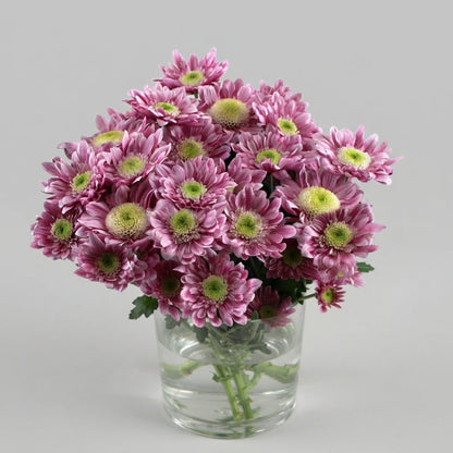 FeedSync:wholesale:9302e07b40b64750d3683d24b53420ca2d231f34