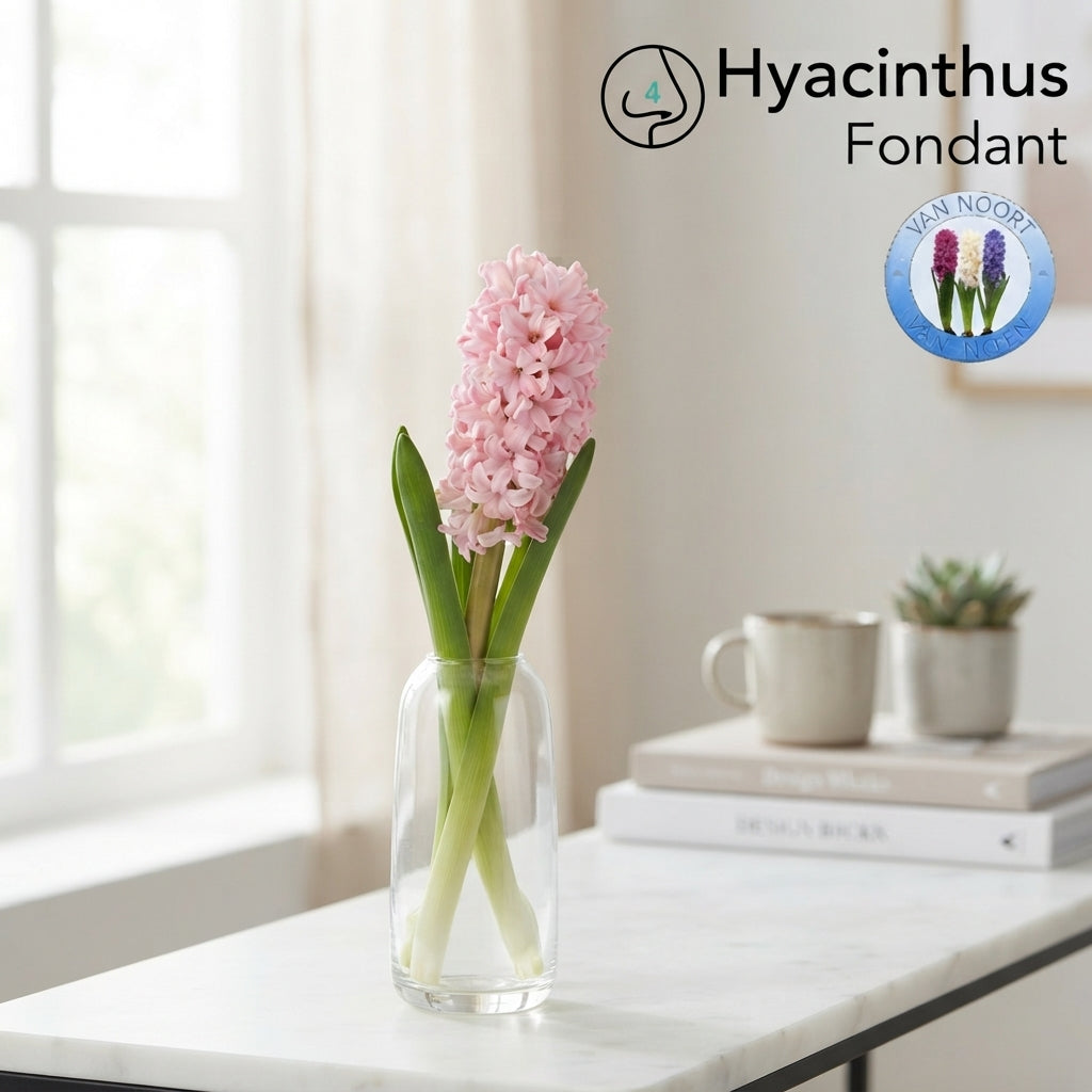 FeedSync:wholesale:91dd2ac9b2aa902be89ebbf3e0095f9fe099a75f