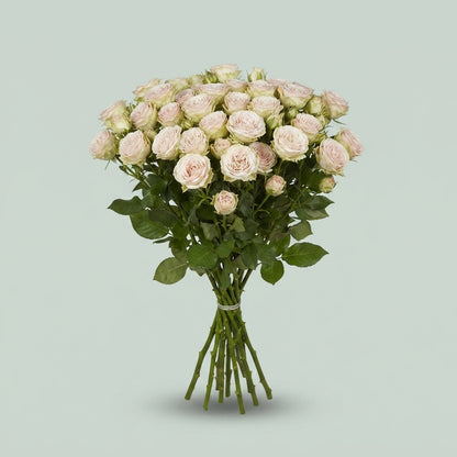 Spray Rose - Rosa - Galina