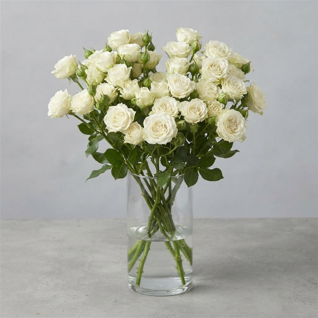 FeedSync:wholesale:b1845b615595675764ccfdfea366c13674a1ebe2