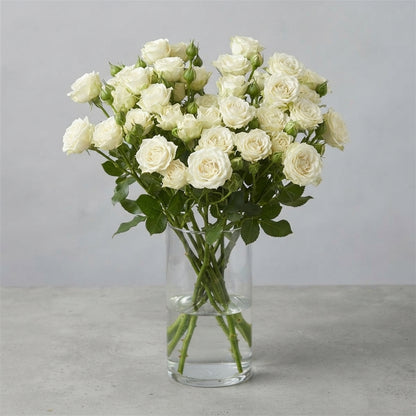 FeedSync:wholesale:b1845b615595675764ccfdfea366c13674a1ebe2