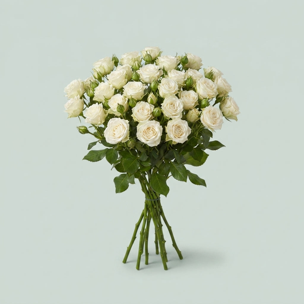 FeedSync:wholesale:fa5d7449947df06d7a86a24f18a97b4d012831c7