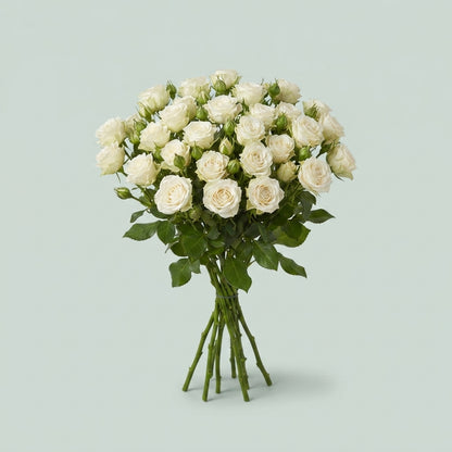 FeedSync:wholesale:fa5d7449947df06d7a86a24f18a97b4d012831c7